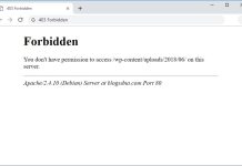 how to fix 403 forbidden error on Google Chrome