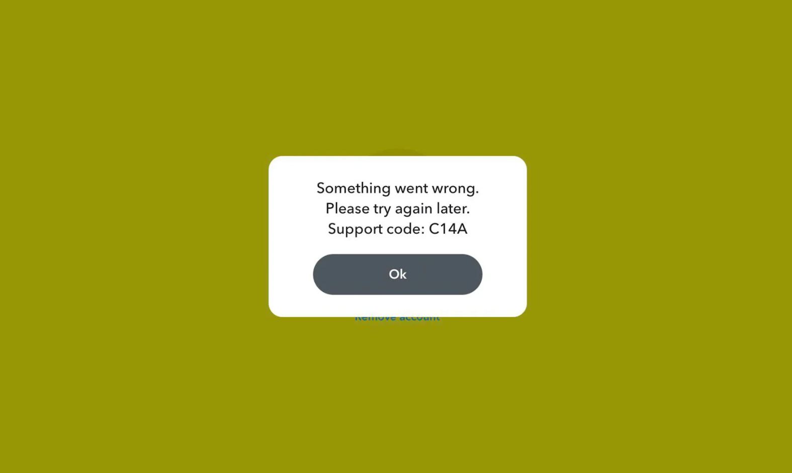 snapchat support code c14a